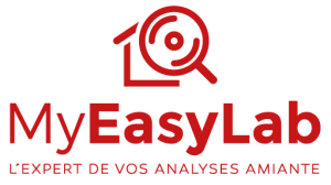 Logo Myeasylab